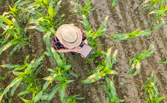 Industry Voice: How can investors gain from the clean economy?